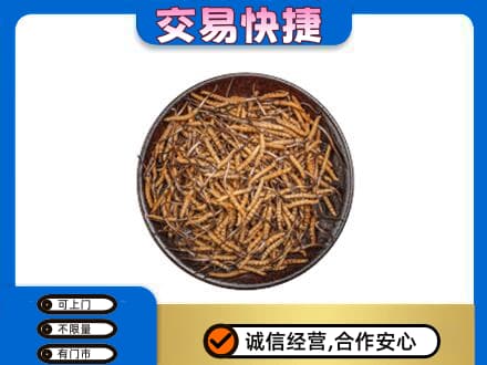 达州高价回收散虫草